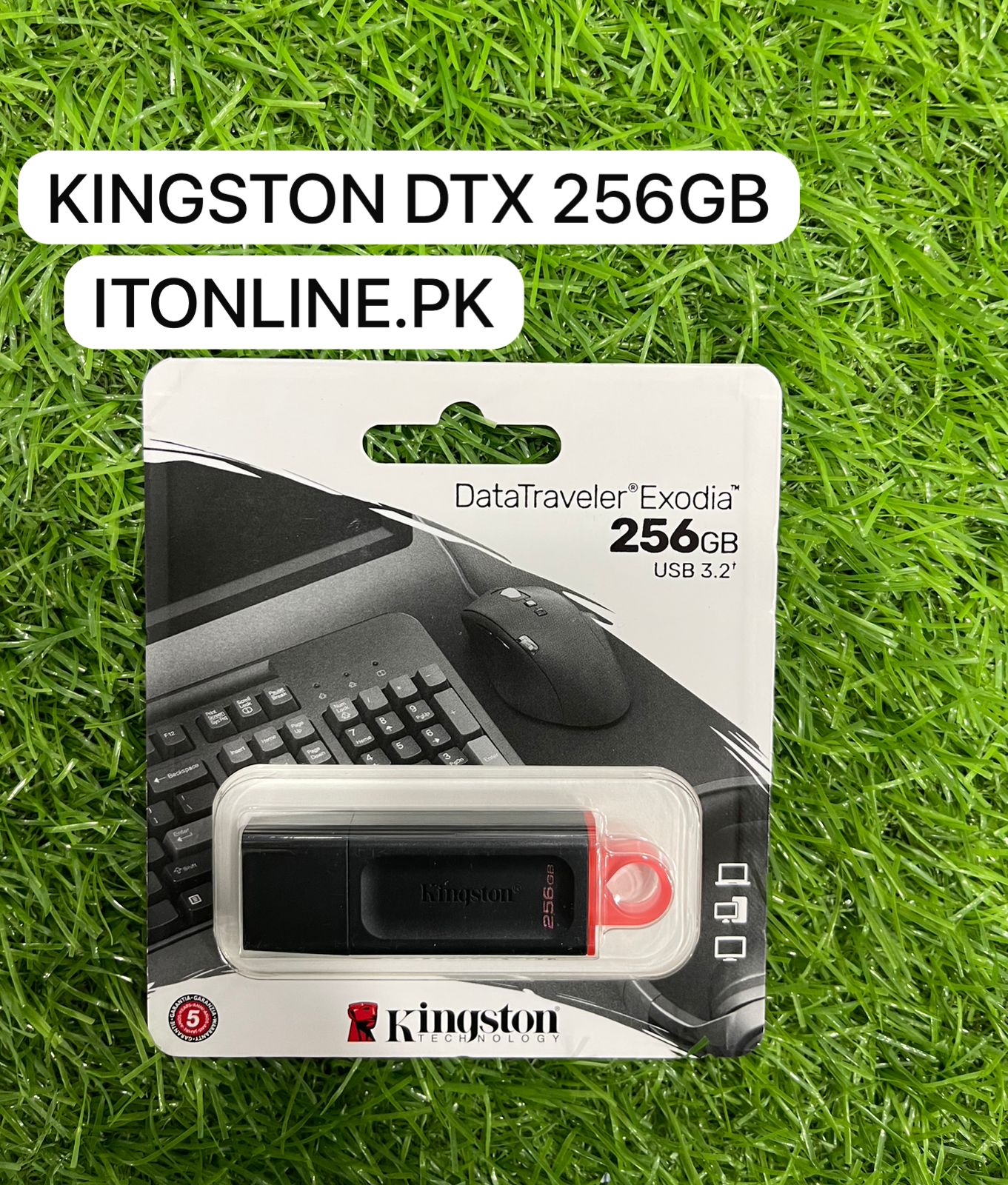 Kingston DataTraveler Exodia 256GB USB 3.2 Flash Drive Front View